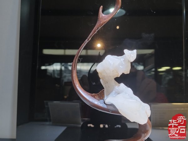 2025第七届中国(杭州)赏石文化艺术节暨第六届黄蜡石文化艺术节盛大开幕