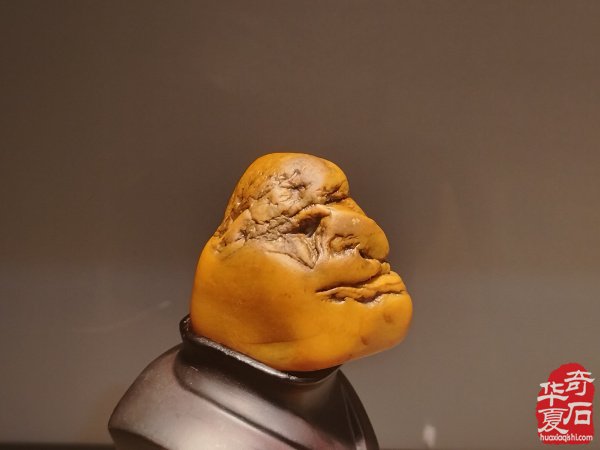 2025第七届中国(杭州)赏石文化艺术节暨第六届黄蜡石文化艺术节盛大开幕