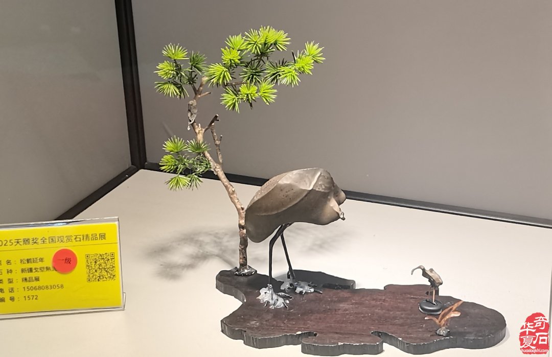 2025第七届中国(杭州)赏石文化艺术节暨第六届黄蜡石文化艺术节盛大开幕