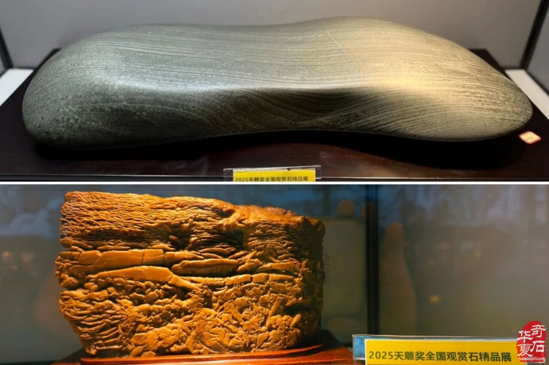 东阳赏石军团赴杭逛展淘宝载誉而归