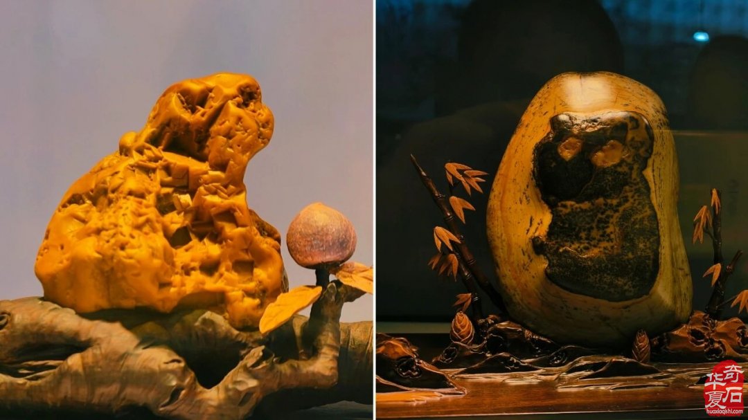 东阳赏石军团赴杭逛展淘宝载誉而归