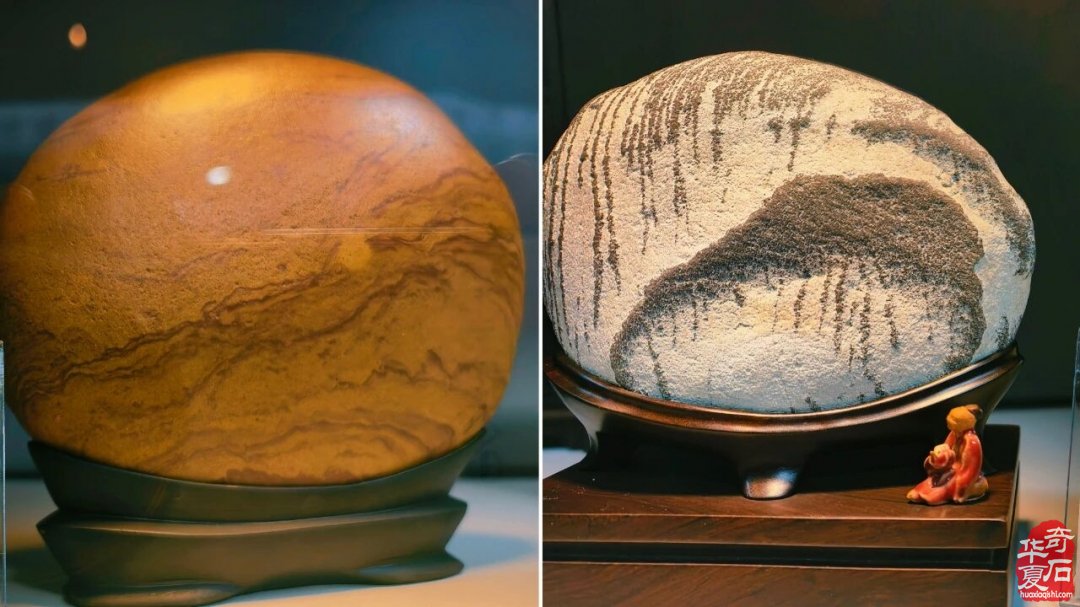 东阳赏石军团赴杭逛展淘宝载誉而归