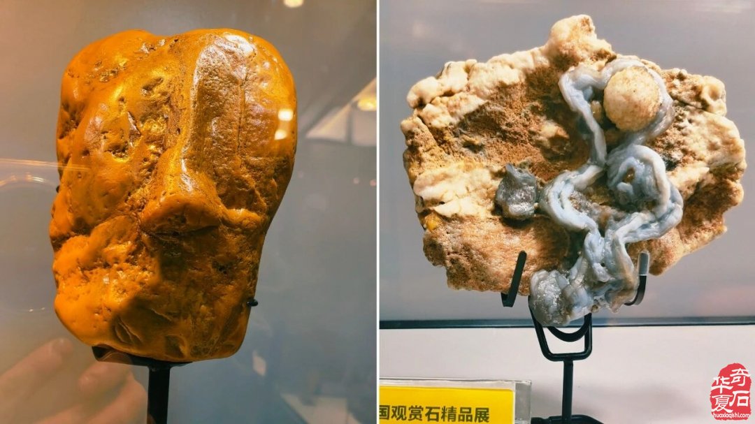 东阳赏石军团赴杭逛展淘宝载誉而归