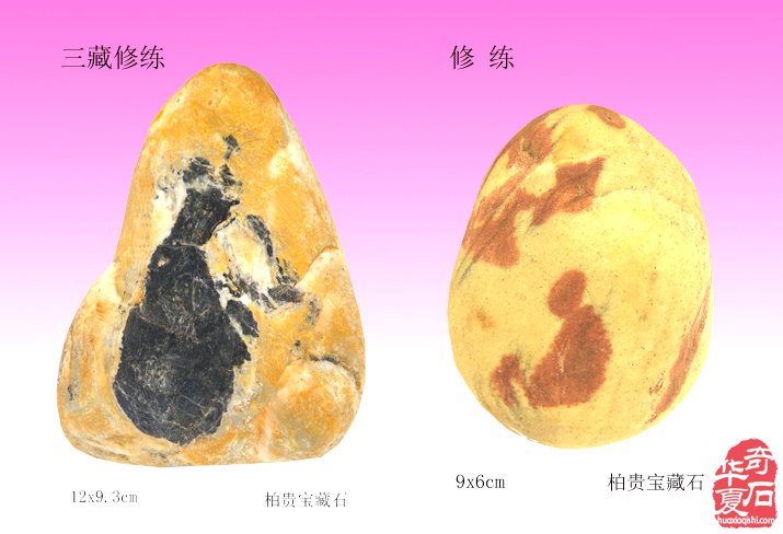 众僧云集水石轩共诵真经祈泰平石上“众僧会”