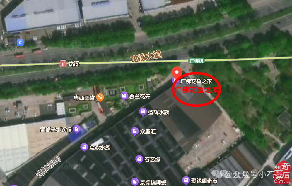 石不可挡聚势羊城!2025广佛诚邀老藏家精品免费参展