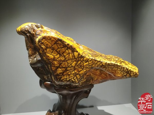 石韵天成 藏珍中华——柳州中华石都名石馆记