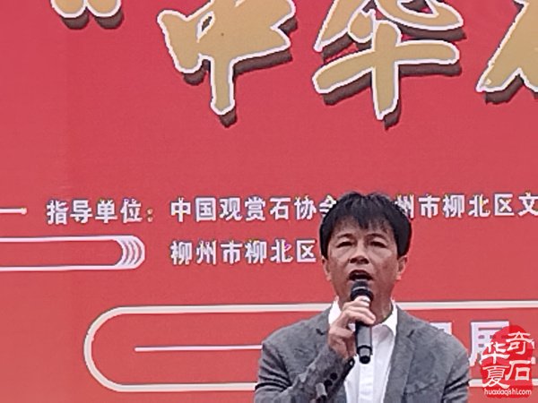 2025柳州海川首届嘉年华“中华石都”奇石博览会盛大开幕