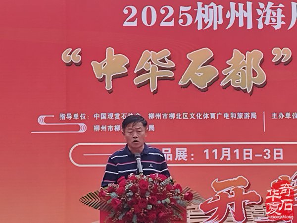 2025柳州海川首届嘉年华“中华石都”奇石博览会盛大开幕