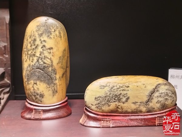 2025柳州海川首届嘉年华“中华石都”奇石博览会盛大开幕