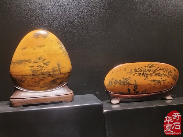 2025柳州海川首届嘉年华“中华石都”奇石博览会盛大开幕