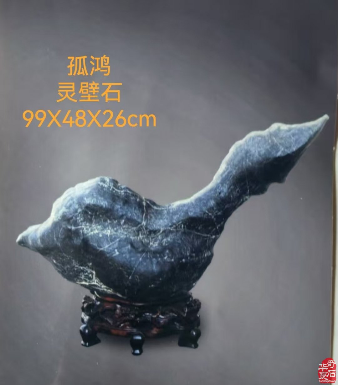 谁见幽人独往来 缥缈孤鸿影