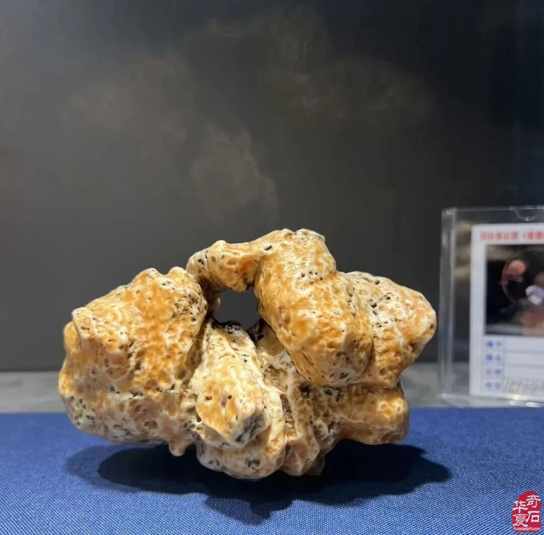 石友必看,避坑指南!这三类人正毁掉奇石圈!