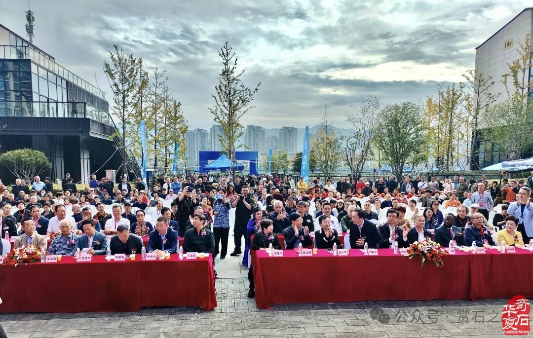 2025首届中国（丽水）赏石文化艺术博览会盛大开幕