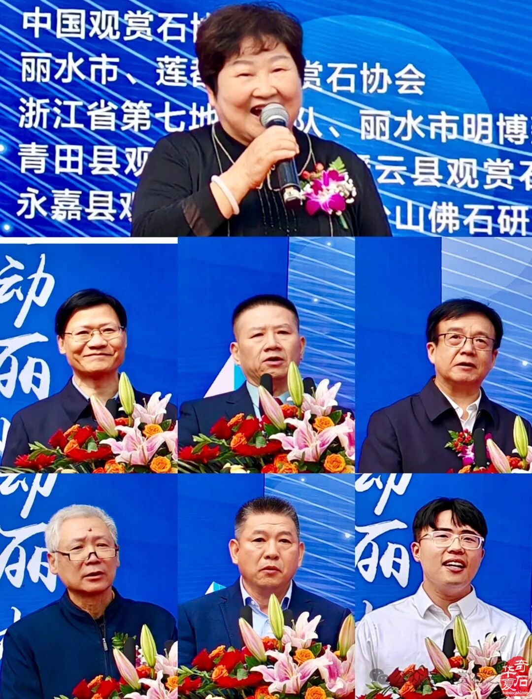 2025首届中国（丽水）赏石文化艺术博览会盛大开幕