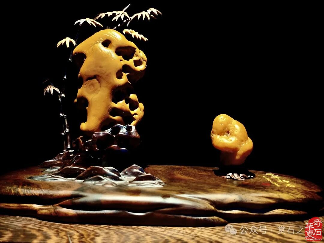 2025首届中国（丽水）赏石文化艺术博览会盛大开幕