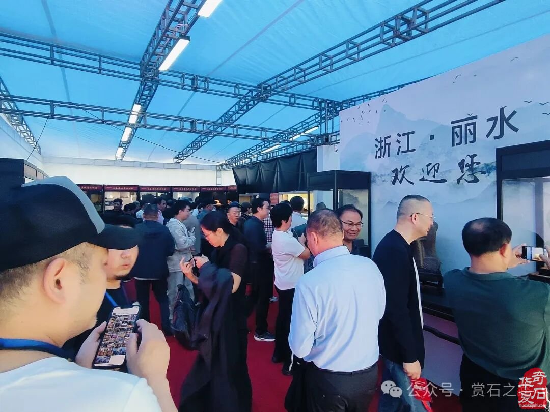 2025首届中国（丽水）赏石文化艺术博览会盛大开幕