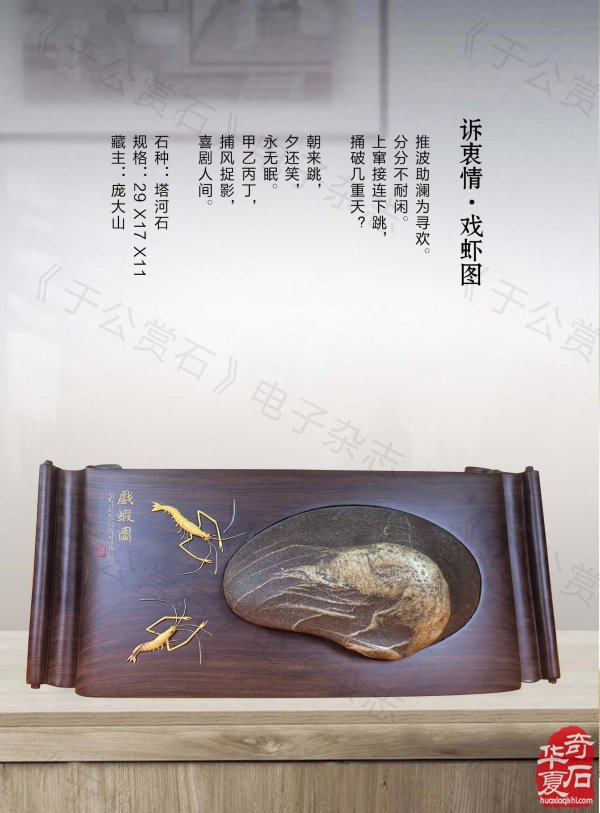 新的一期《于公赏石》杂志上线啦