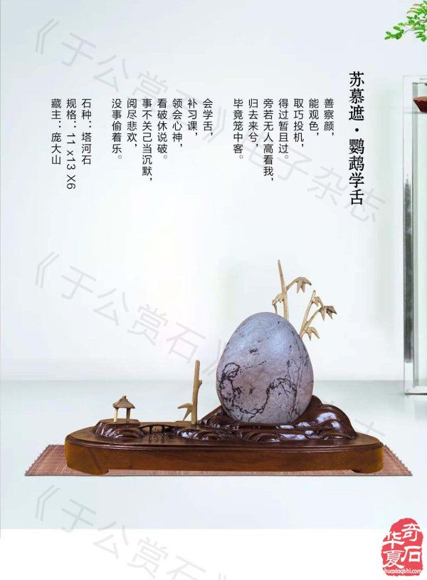 新的一期《于公赏石》杂志上线啦