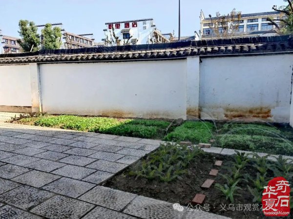 隐于古民居里的山外世界——对季勤勤的访谈录