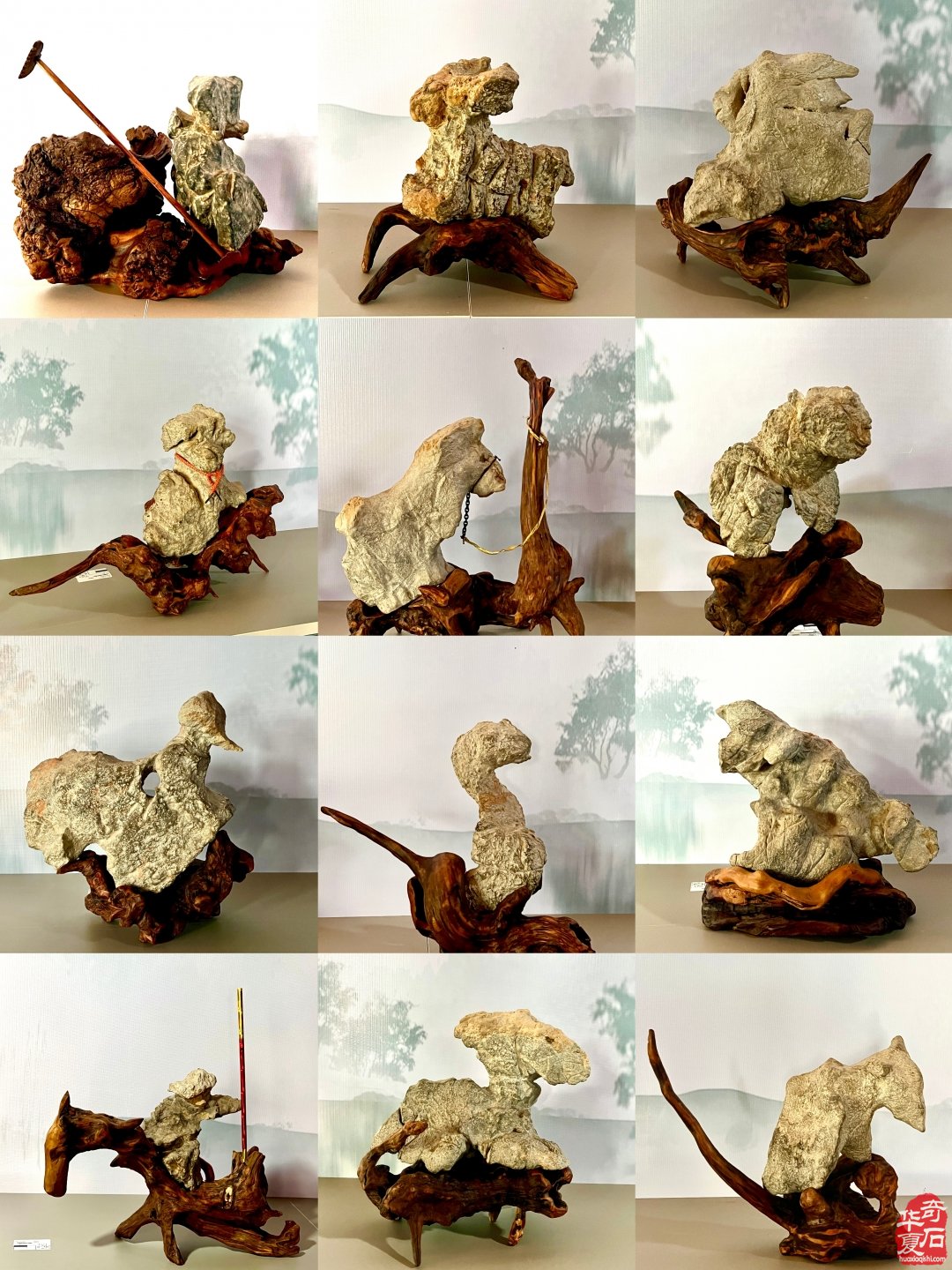 石不能言最可人：一个石痴的静慢修行