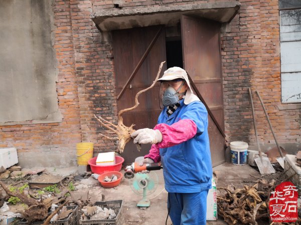 石不能言最可人：一个石痴的静慢修行