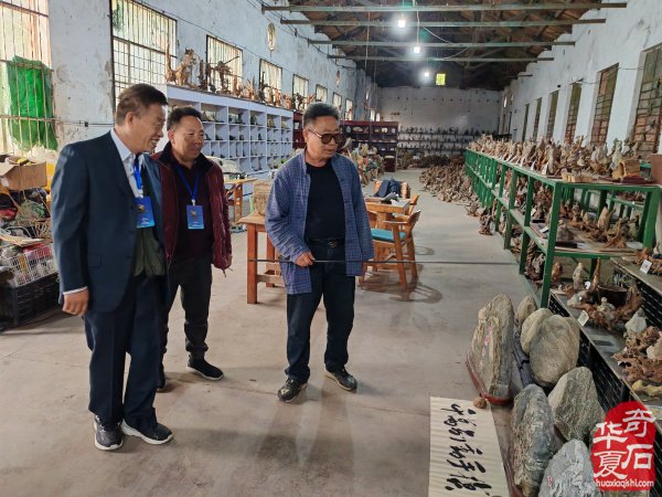 石不能言最可人：一个石痴的静慢修行