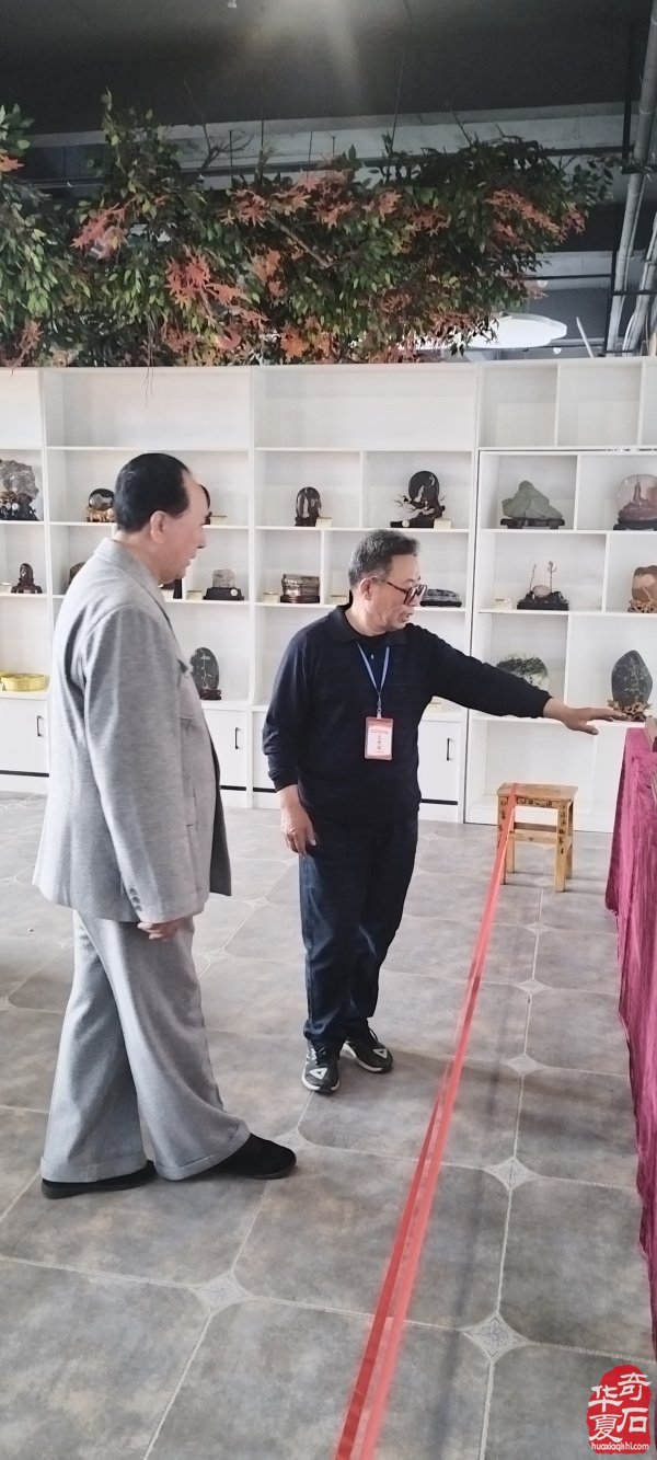 石不能言最可人：一个石痴的静慢修行