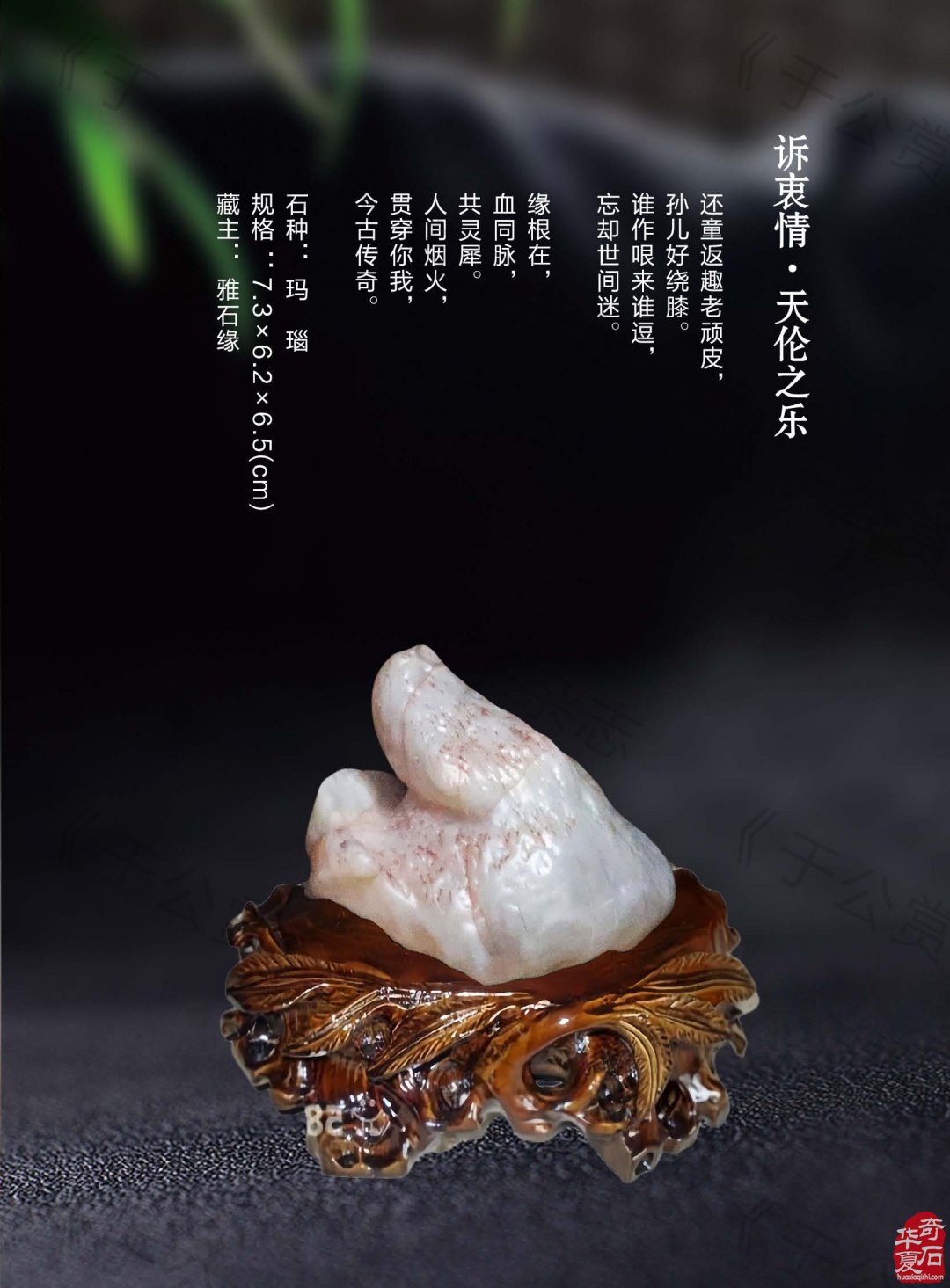 赏石路上艰难前行的不容易 图