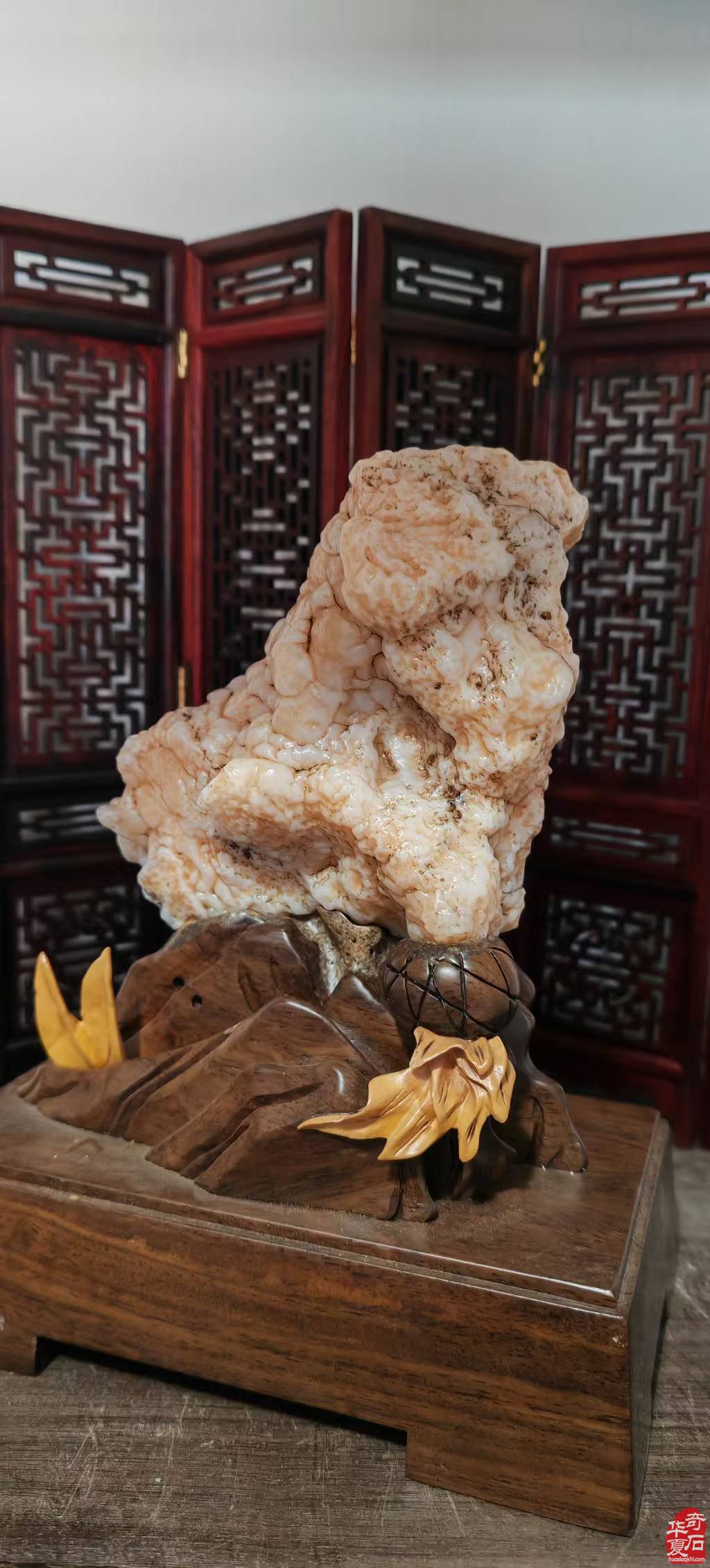 古老文明:见证了无数的兴衰荣辱朝代更迭