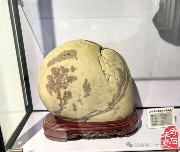 黄河石韵凝初心·陇原挚友赴新程 ——谨以此诗贺迎新春黄河石精品展暨甘肃省观赏石协会石友联谊会 原创 馨然 于公赏石 2025年12月9日 00:06 甘肃 