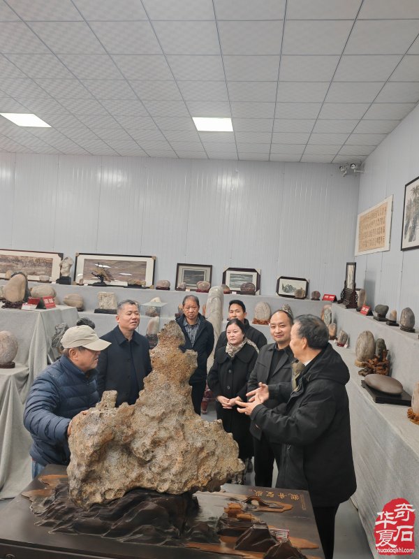 年末岁首洛阳奇石馆喜迎伊川协会来访
