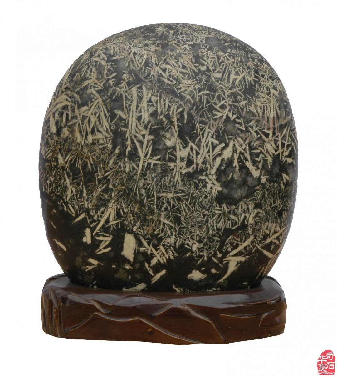 年末岁首洛阳奇石馆喜迎伊川协会来访