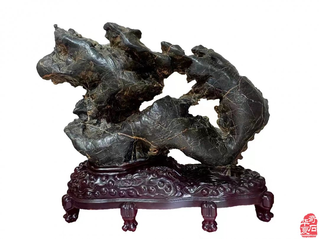 年末岁首洛阳奇石馆喜迎伊川协会来访