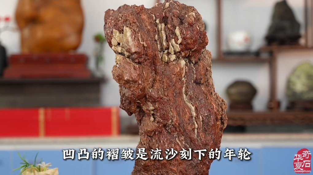 戈壁风骨石中生泉风沙磨蚀出的沧桑