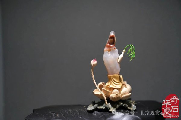 2026海南三亚观赏石博览会即将闪耀启幕