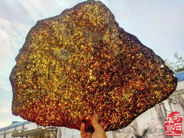 2026海南三亚观赏石博览会即将闪耀启幕