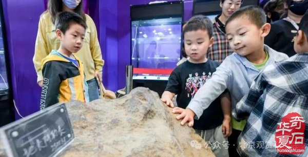 2026海南三亚观赏石博览会即将闪耀启幕