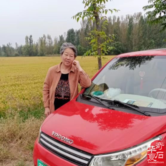 老伴陪我玩石头晚年生活优雅惬意 图