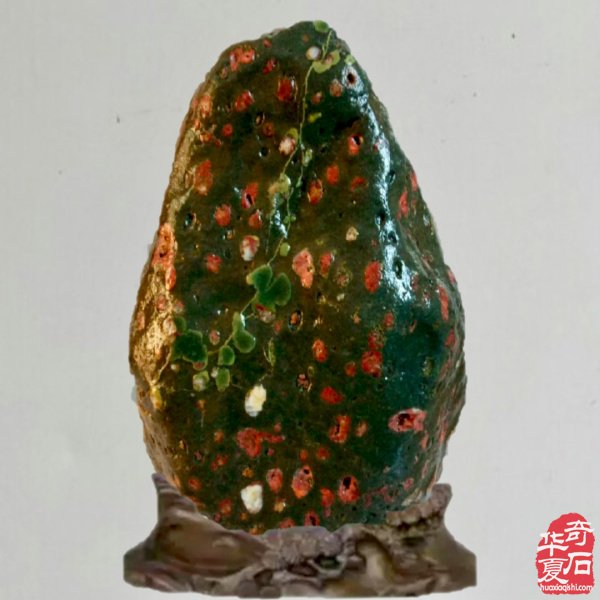 老伴陪我玩石头晚年生活优雅惬意 图