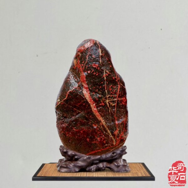 老伴陪我玩石头晚年生活优雅惬意 图