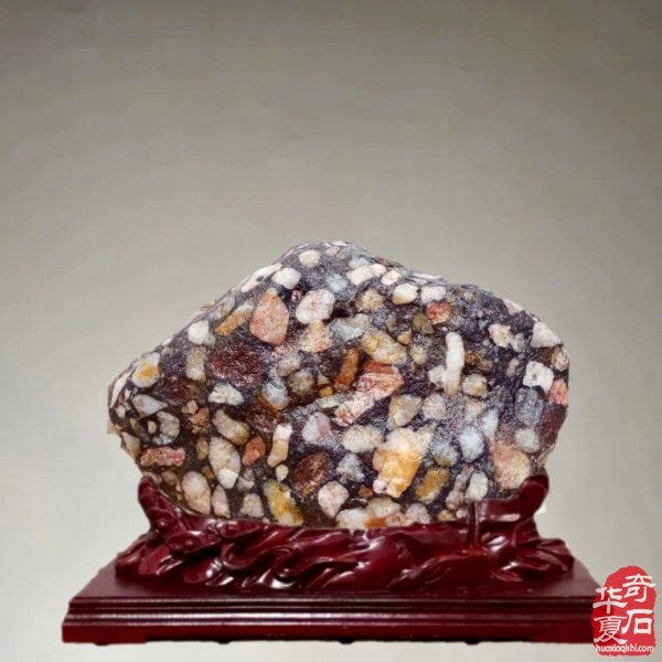 老伴陪我玩石头晚年生活优雅惬意 图