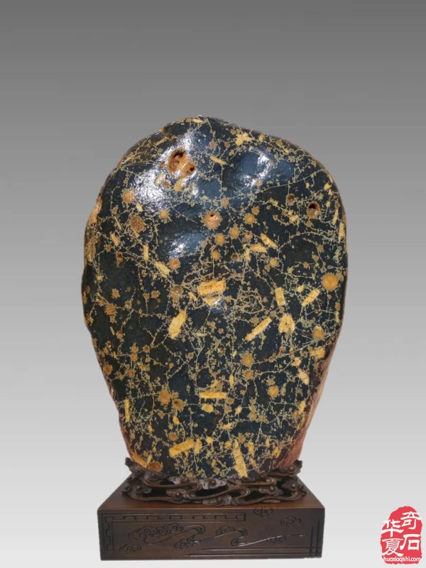 老伴陪我玩石头晚年生活优雅惬意 图