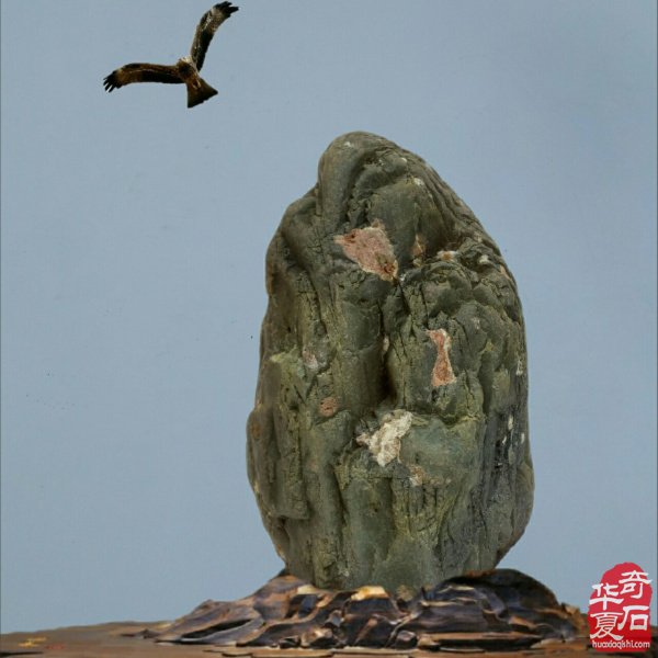 老伴陪我玩石头晚年生活优雅惬意 图