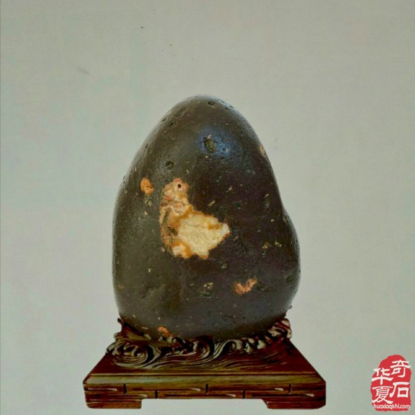 老伴陪我玩石头晚年生活优雅惬意 图