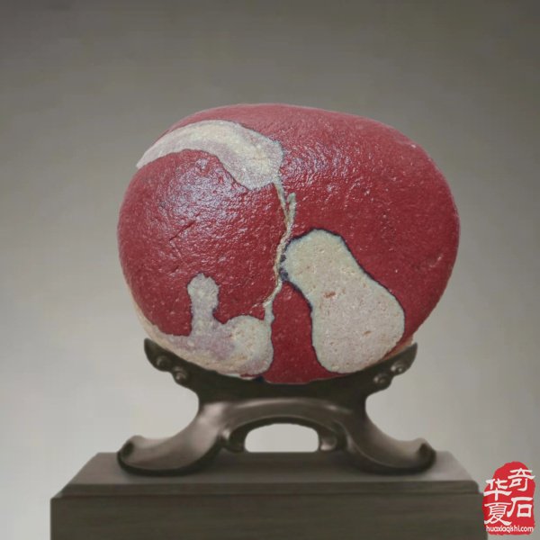 老伴陪我玩石头晚年生活优雅惬意 图