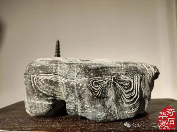 奇石让古往今来无数高士贤达为之倾心