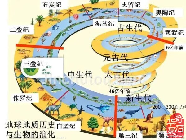 赏石学的学科构建与多重价值探析——基于历史、美学与社会的多维视角