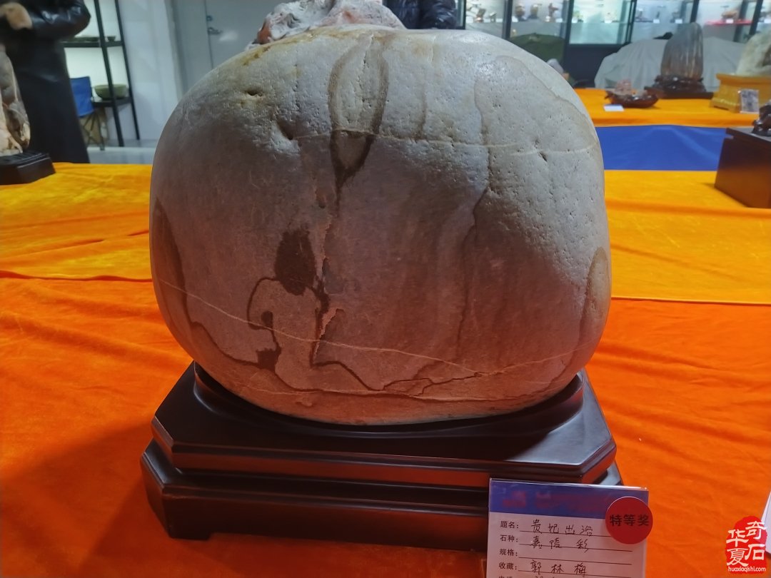 2025中国武功首届赏石文化博览会暨首届“老院子杯”全国赏石艺术精品展隆重开幕