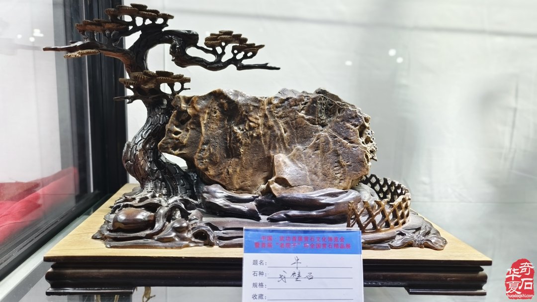 石聚武功·情满山河 ——致敬中国武功精品石参展诸友