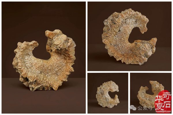 毛泽东诞辰纪念日《中华龙魂》沙漠漆特展在韶山揭幕